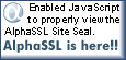 Wildcard SSL Certificates