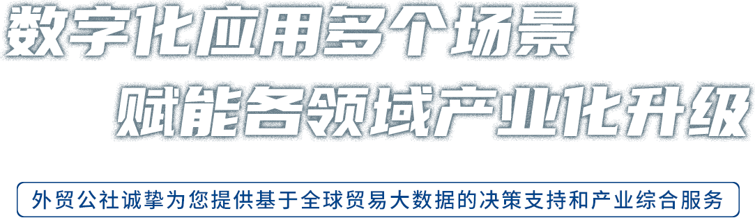 数字化应用多个场景、赋能各领域产业化升红、外贸公社诚挚为您提供基于全球贸易大数据的决策支持和产业综合服务